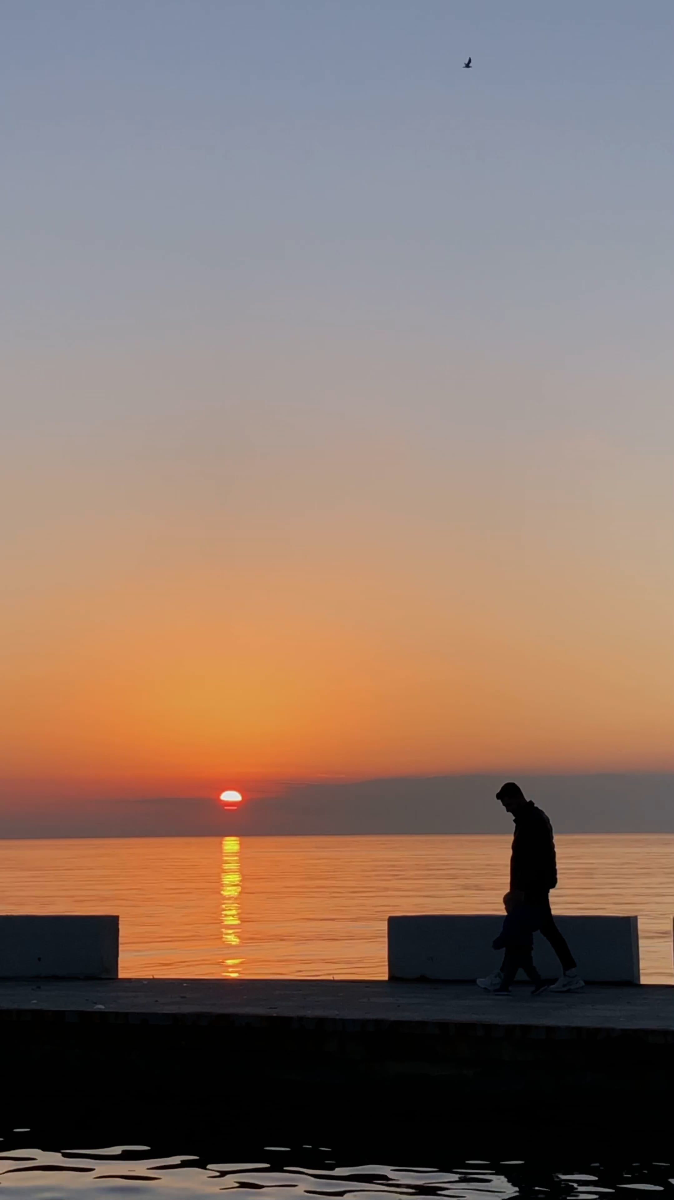 Silhouette of a Man Walking by the Sea at Sunset · Free Stock Video