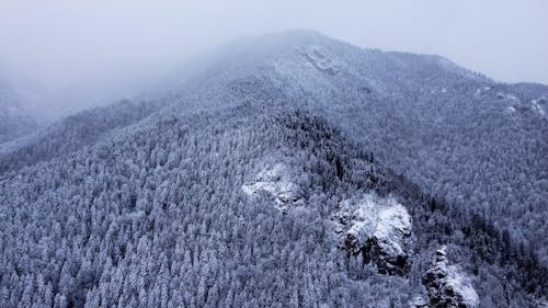 Drone Footage of a Mountain Forest Covered in Snow