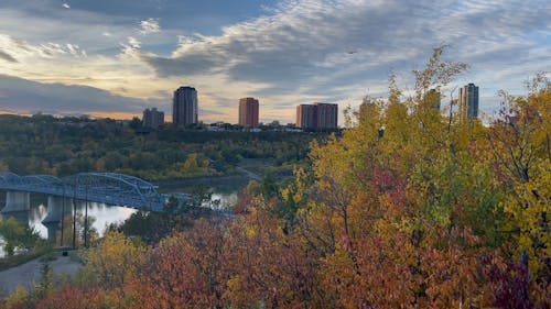 Autumn Edmonton Cityscape