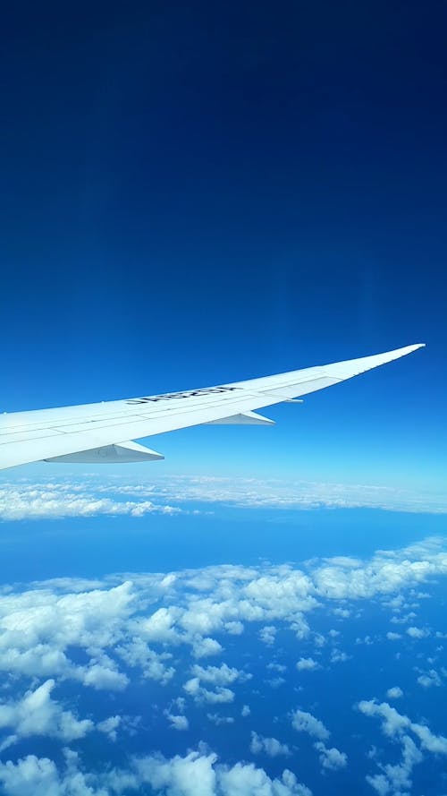 Wing of Commercial Airplane