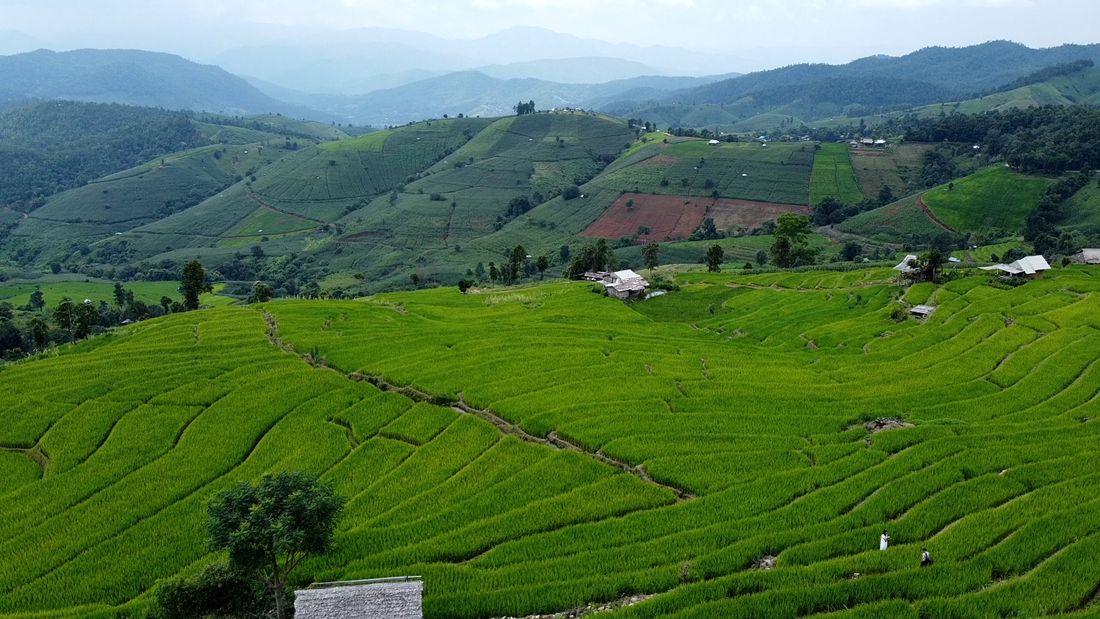 Rice terraces near Doi Inthanon