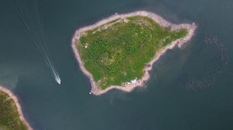 黑瞎子岛视频素材视频素材免费下载高清视频视频素材