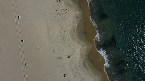 Beach and Sea