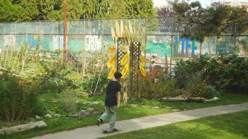 A Skateboarder Passing by a Vegetable Garden 
