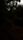 dark forest