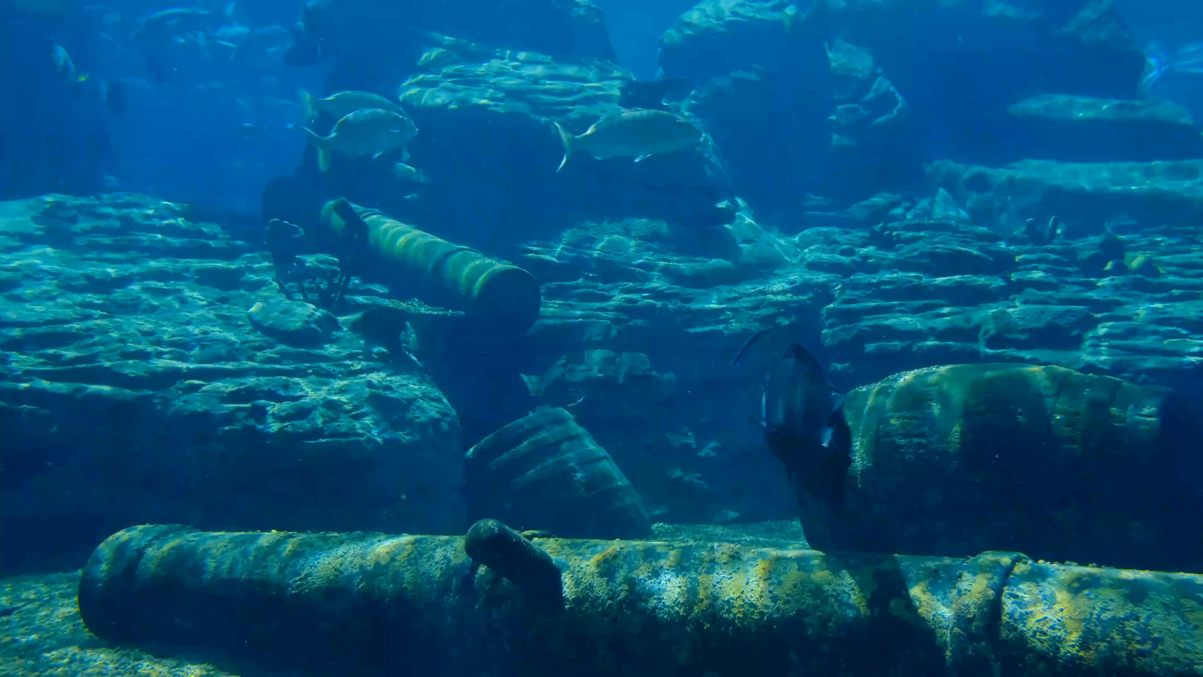 Video by Magda Ehlers