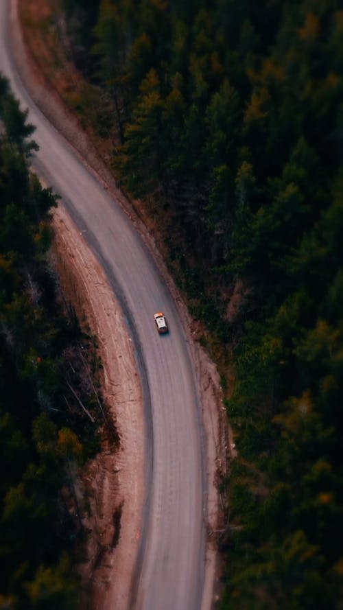 Aerial View on Car on Road through Forest