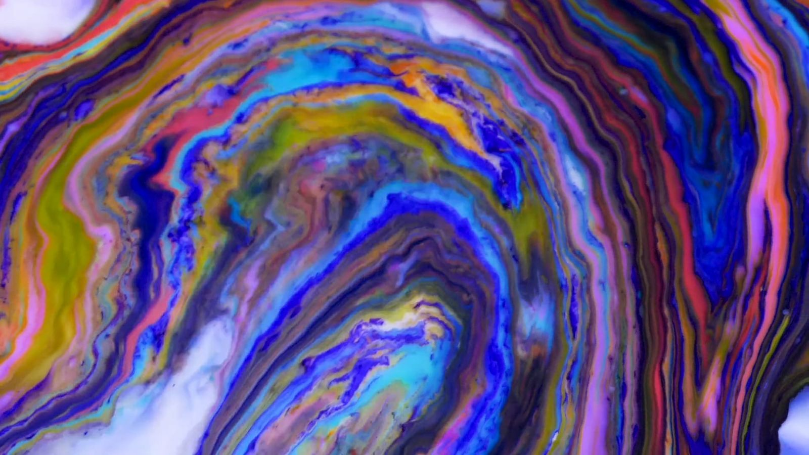Colorful Fluid Swirls in Vibrant Abstract Motion Free Stock Video ...