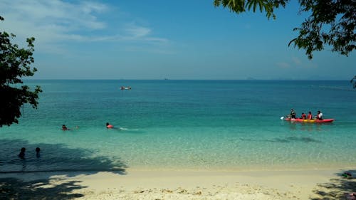 People Rowing in Boat near Beach