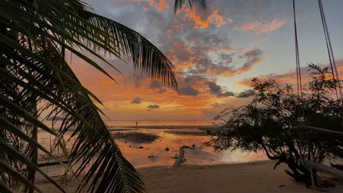 A Tropical Island Beach under a Sunset Sky
