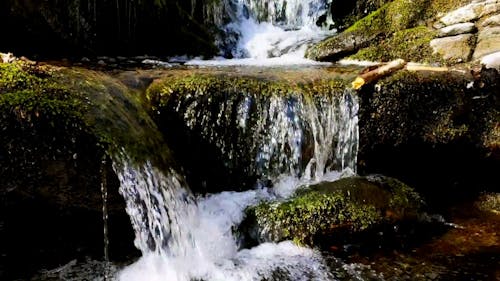 Small Waterfall in Forest