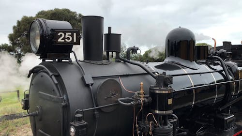 Steam Train on Station