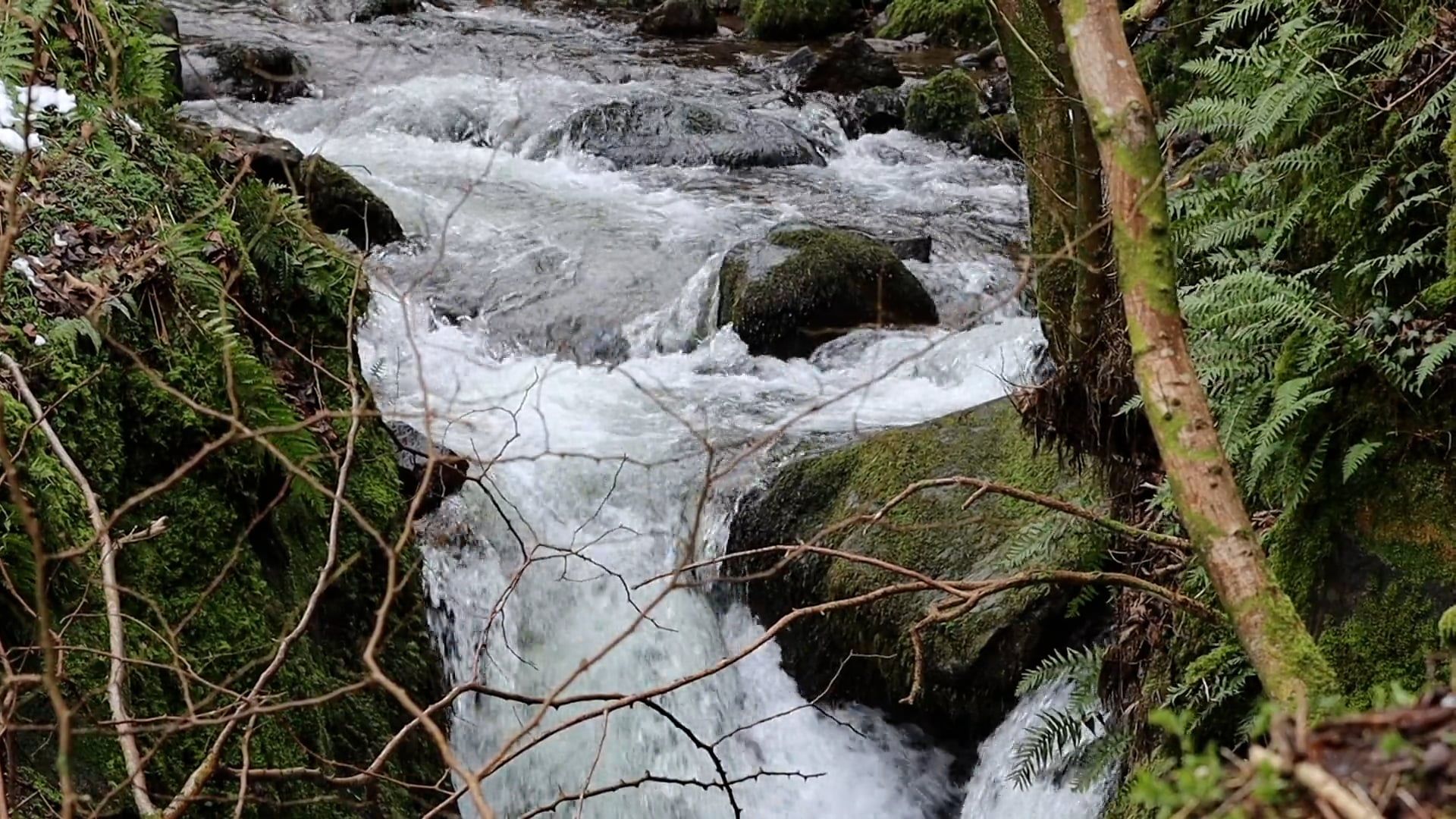 water flowing in waterfall 11363946 — free pexels stock footage