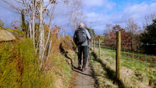 Back View of Elderly Man Hiking