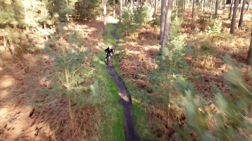 Drone Footage of a Person Cycling in a Forest