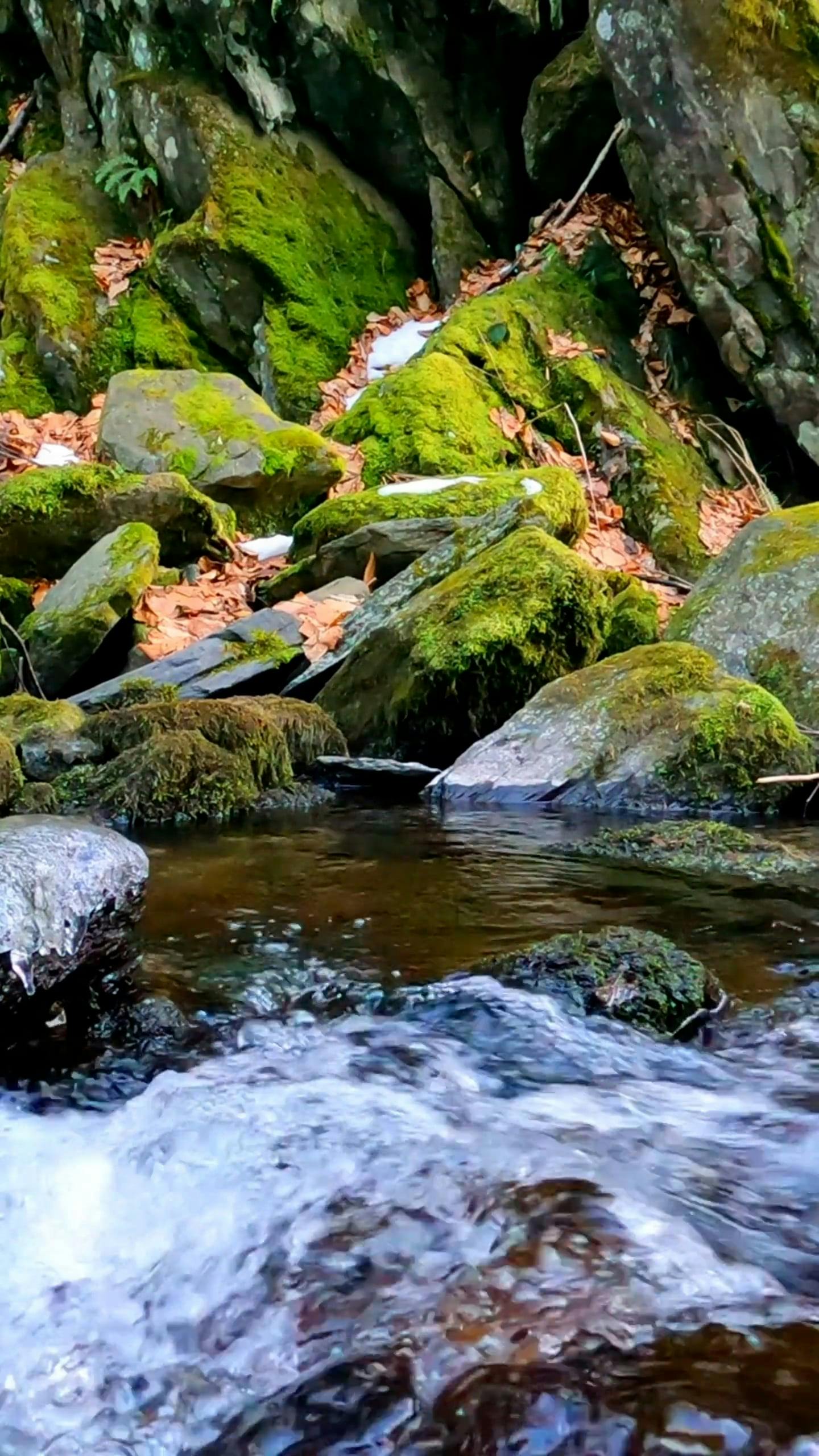 Video by I Am Sorin