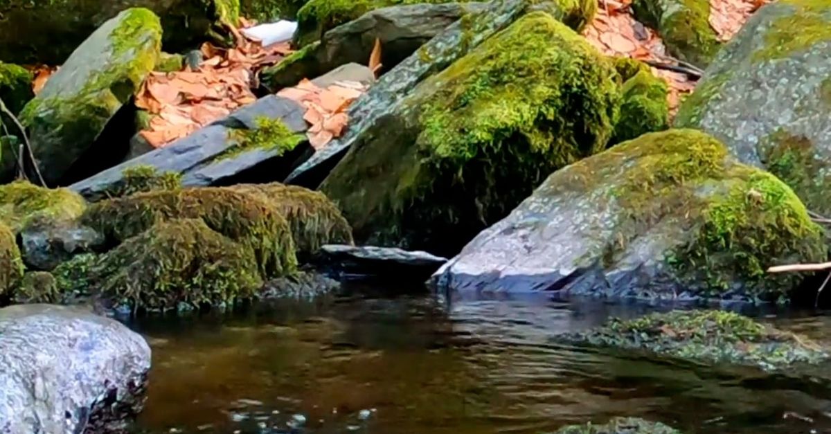 Close Up Stream Close up on Stream Free Stock Video Footage, Royalty-Free 4K & HD Video ...