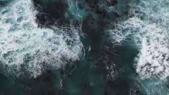 海免费下载视频素材