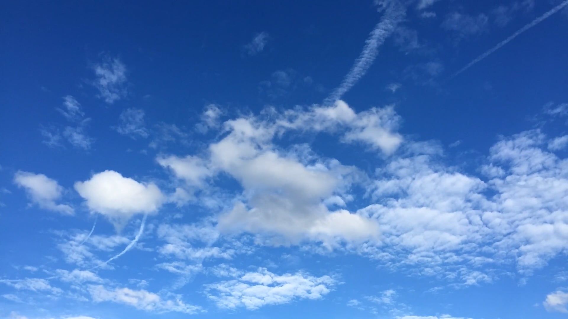 Video by Kensei I