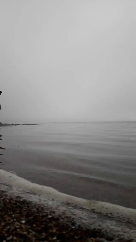 Fog Videos, Download The BEST Free 4k Stock Video Footage & Fog HD ...