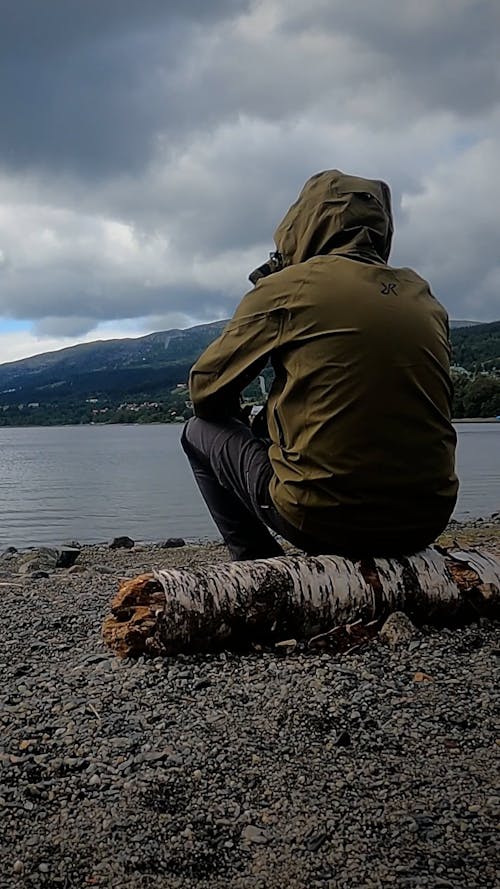 A Person Sitting on a Tree Log Looking at a Lake 