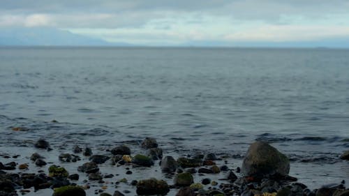 Stones on Sea Shore