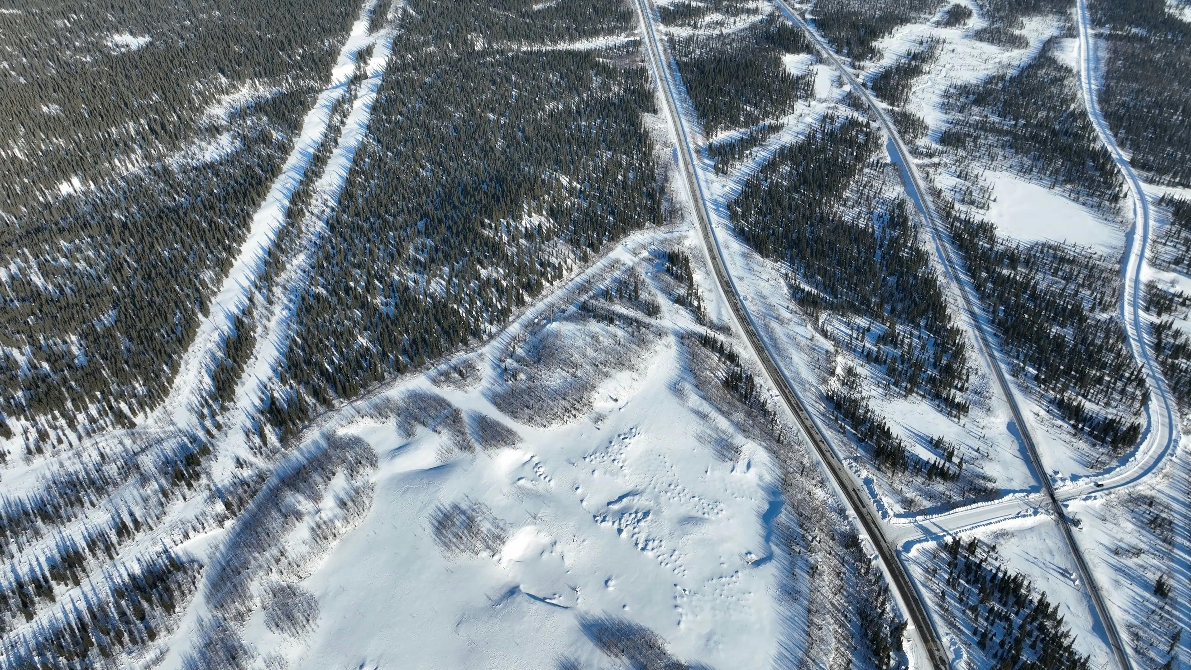 Video by Serg Alesenko