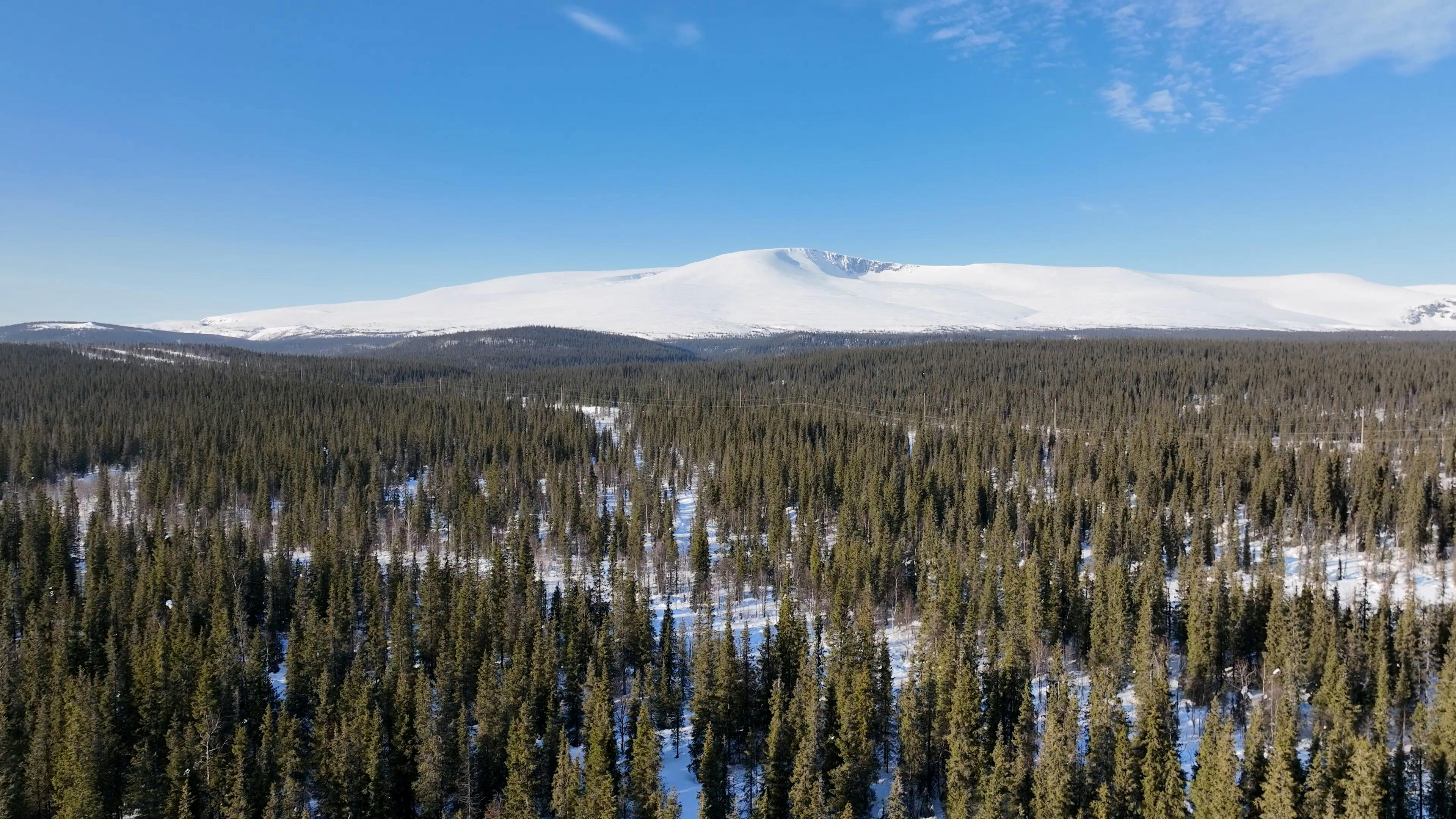 Video by Serg Alesenko