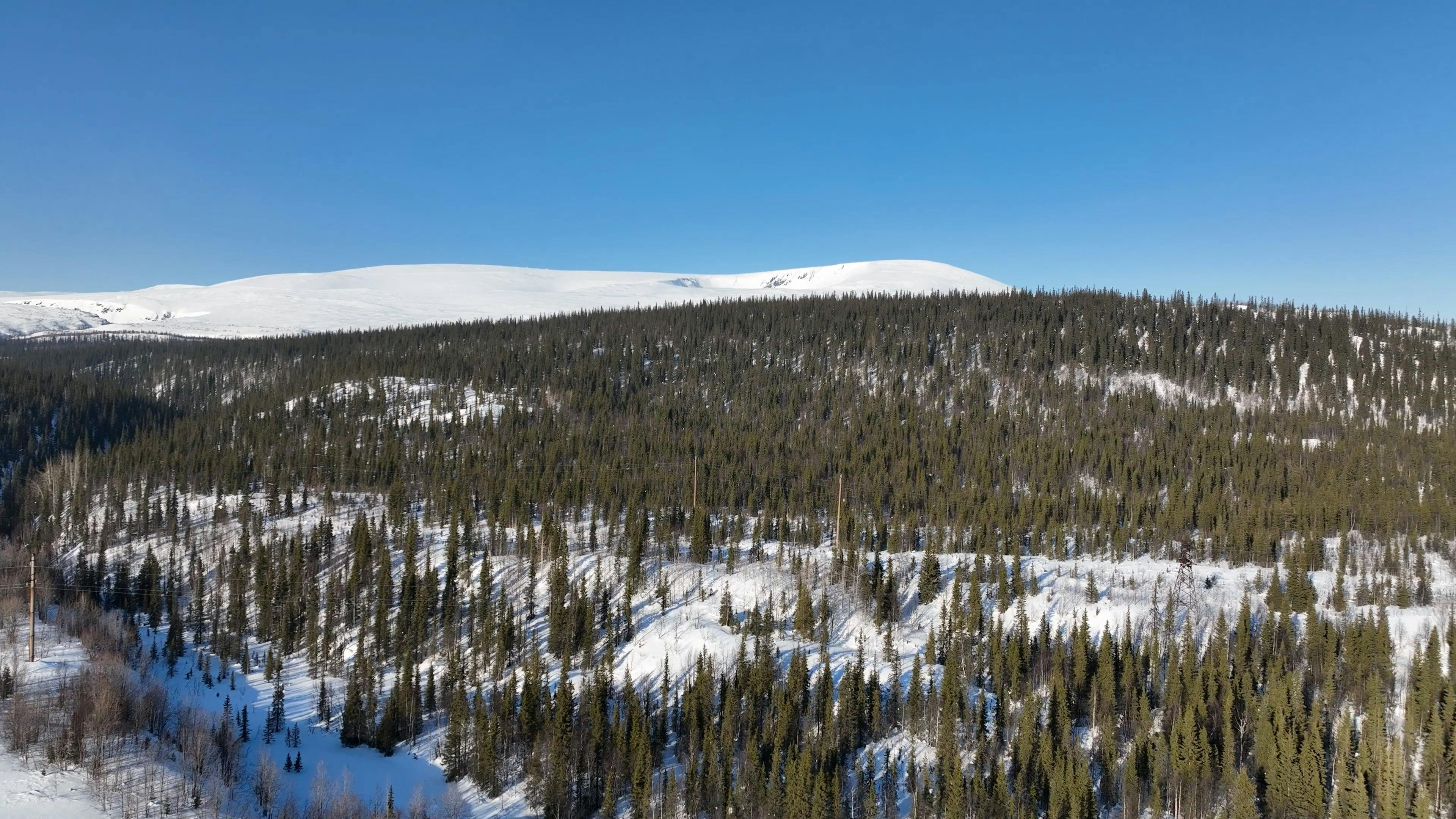 Video by Serg Alesenko