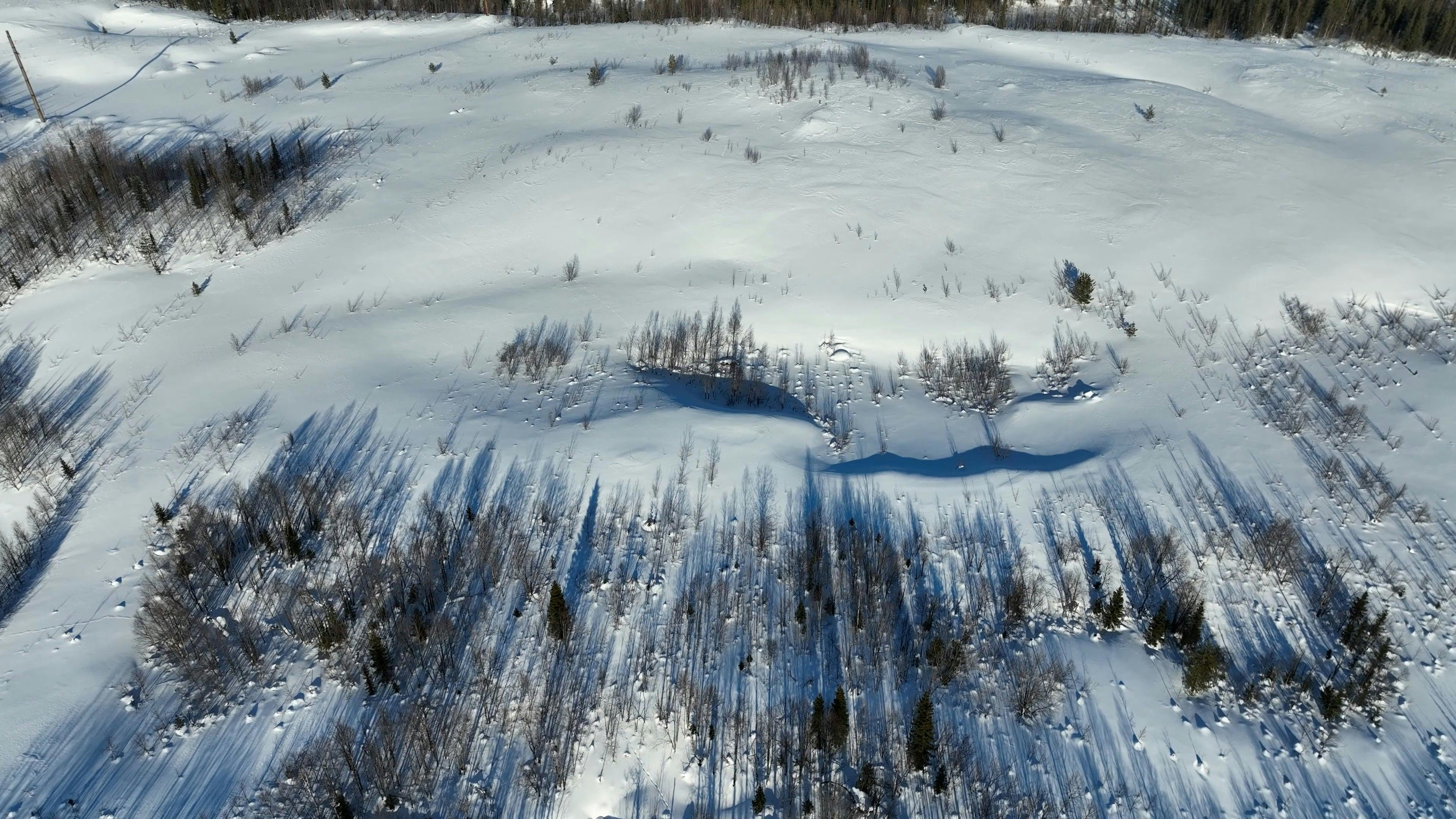 Video by Serg Alesenko