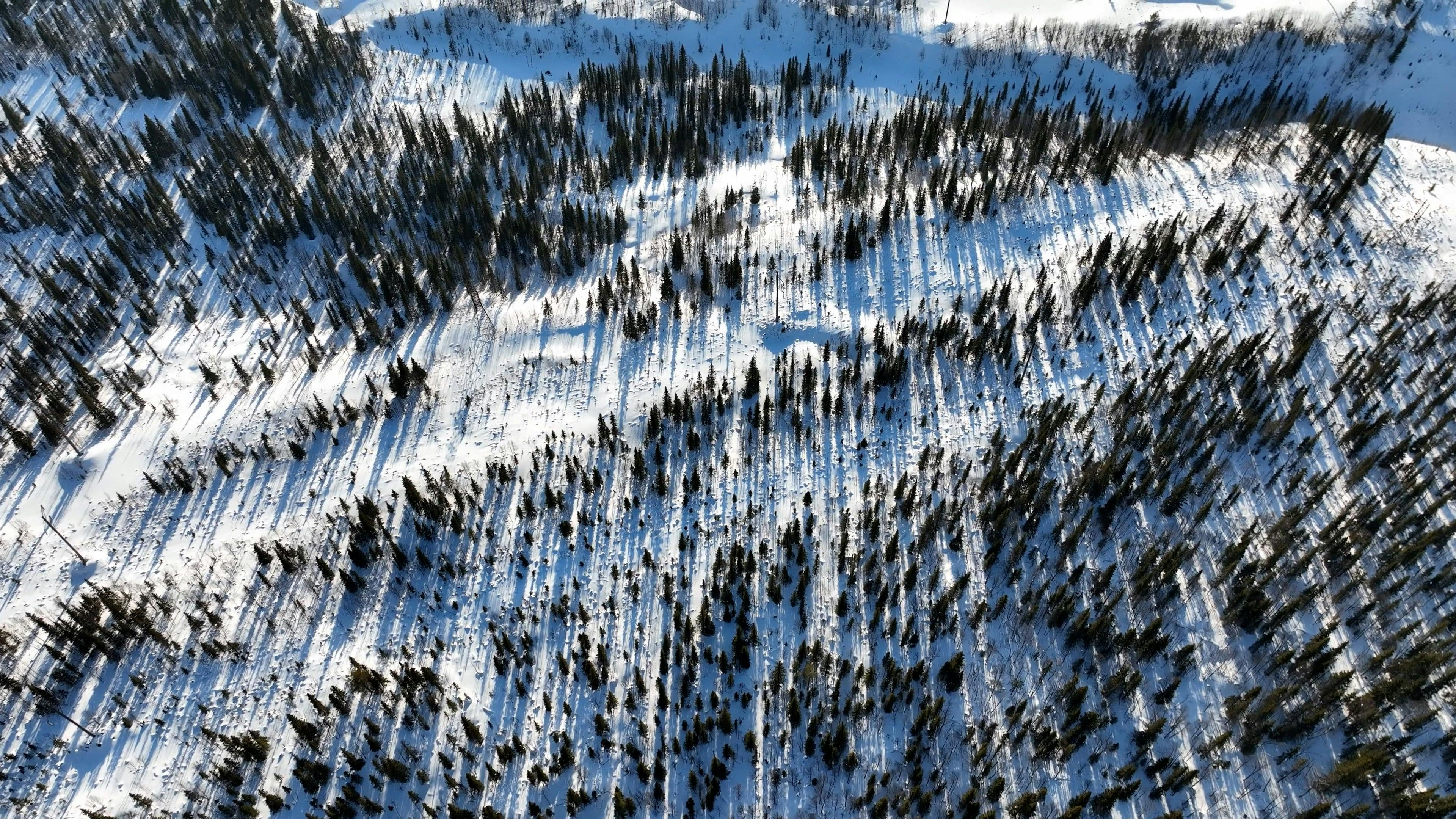 Video by Serg Alesenko