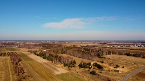 Birds Eye View on Small Forests on Plains