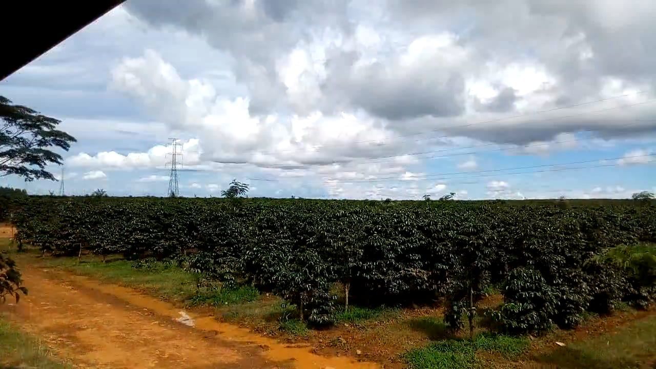Highland Coffee Videos, Download The BEST Free 4k Stock Video Footage ...