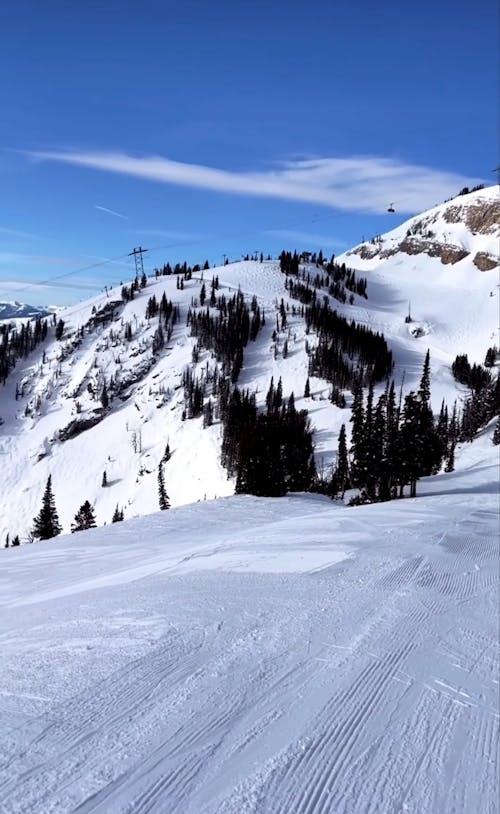 People Skiing on Ski Slope