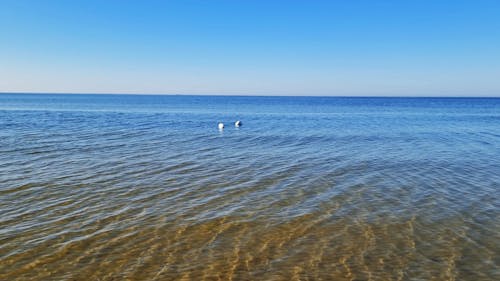 Rocks Lying in Shallow Water by Shore