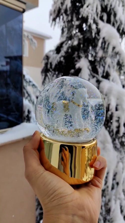 Hand Holding Snow Globe