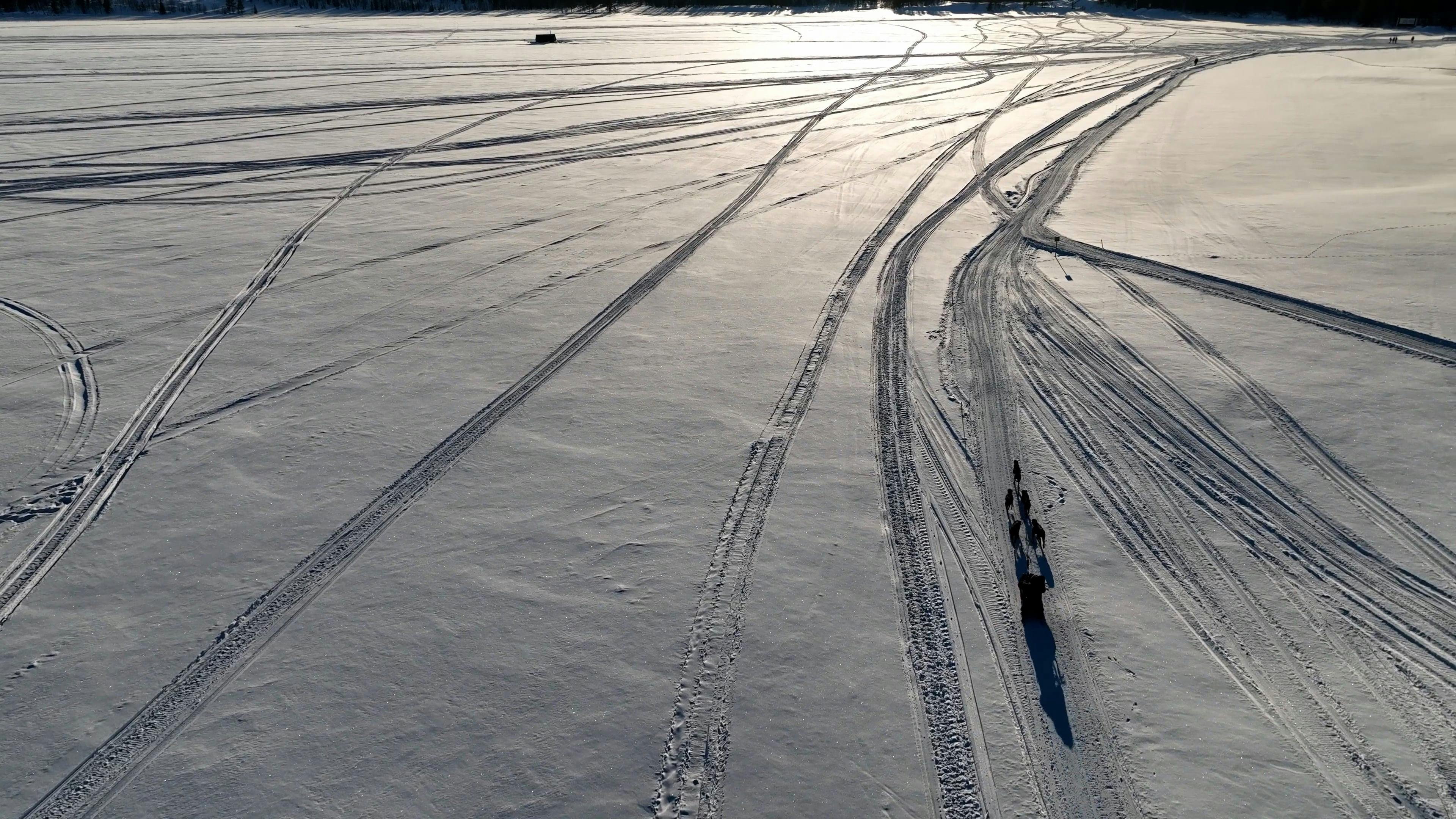 Video by Serg Alesenko