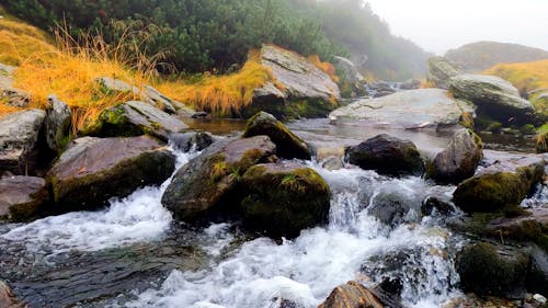 Rocks in Flowing Stream