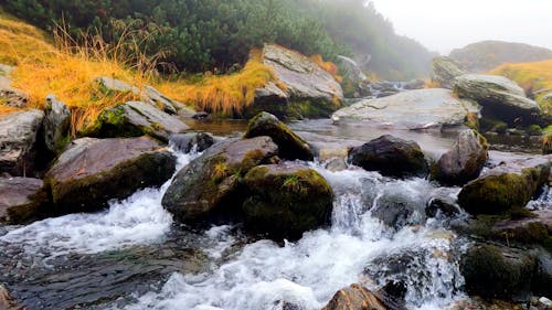 Cascade on River