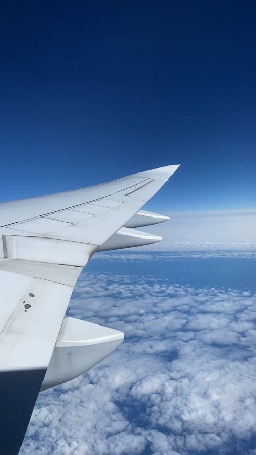 Airplane Wing during Flight