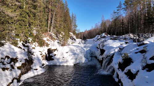 Drone Video of a Forest River in the Winter Season 