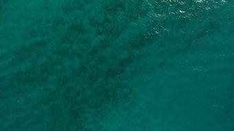 海面航拍免费下载免费下载视频素材