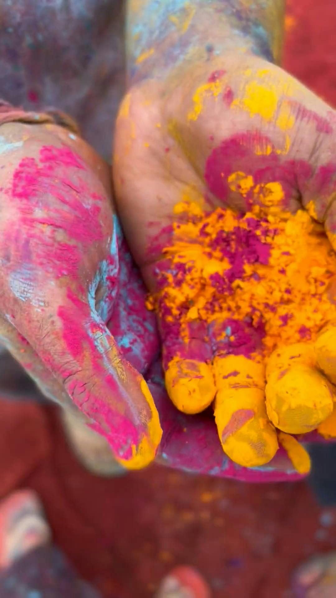 Close-up View of Hands with Colorful Powder Free Stock Video Footage,  Royalty-Free 4K \u0026 HD Video Clip, image size:1080x1920