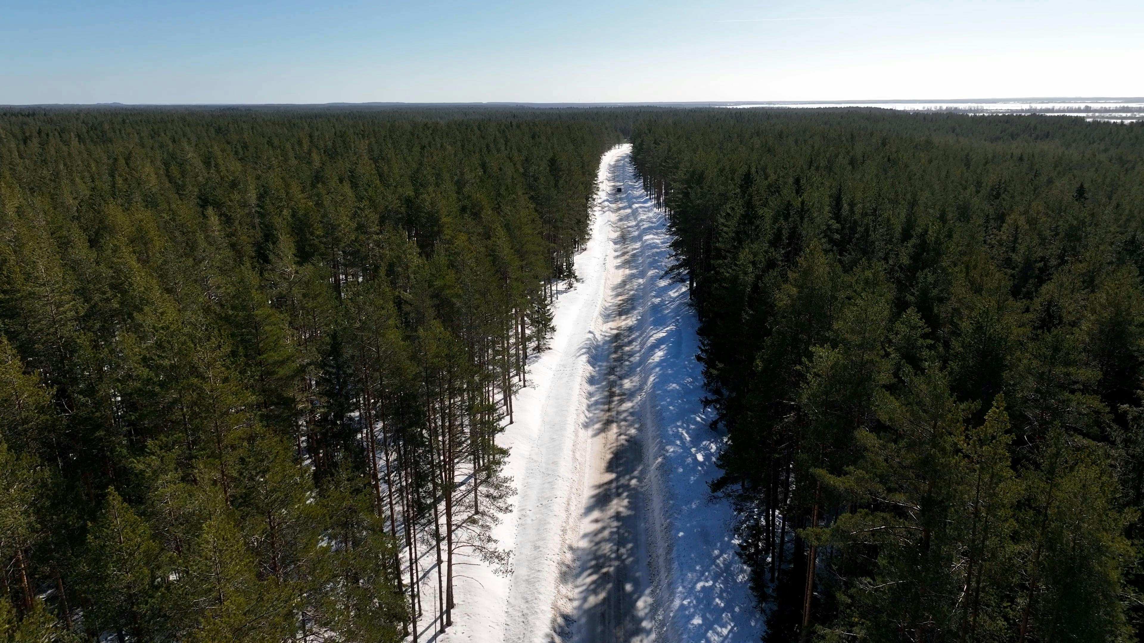 Video by Serg Alesenko