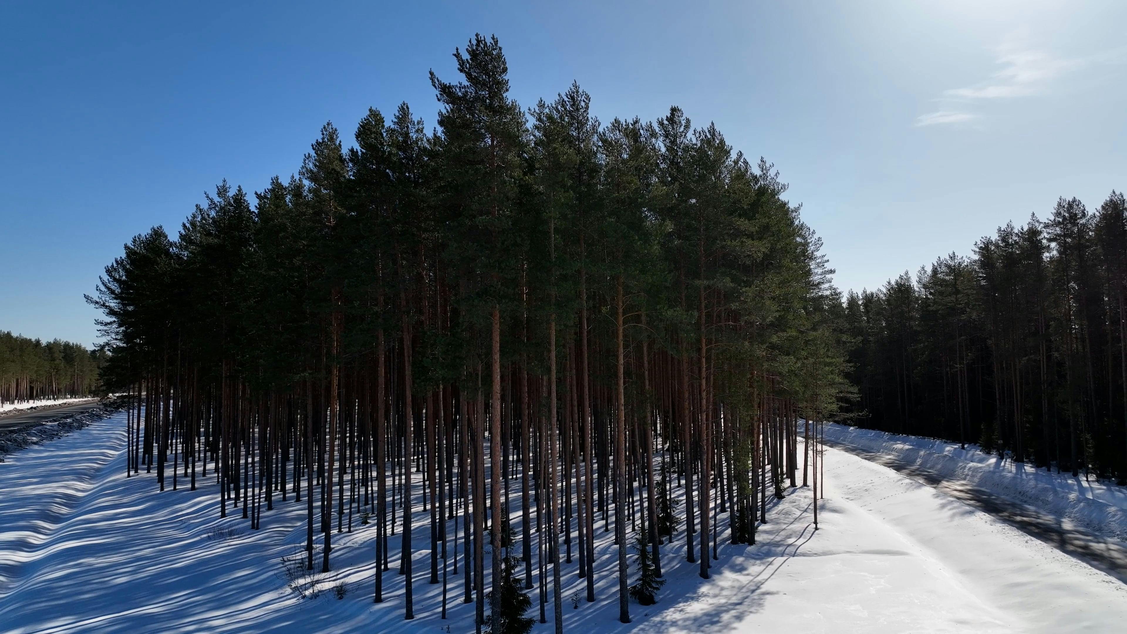 Video by Serg Alesenko