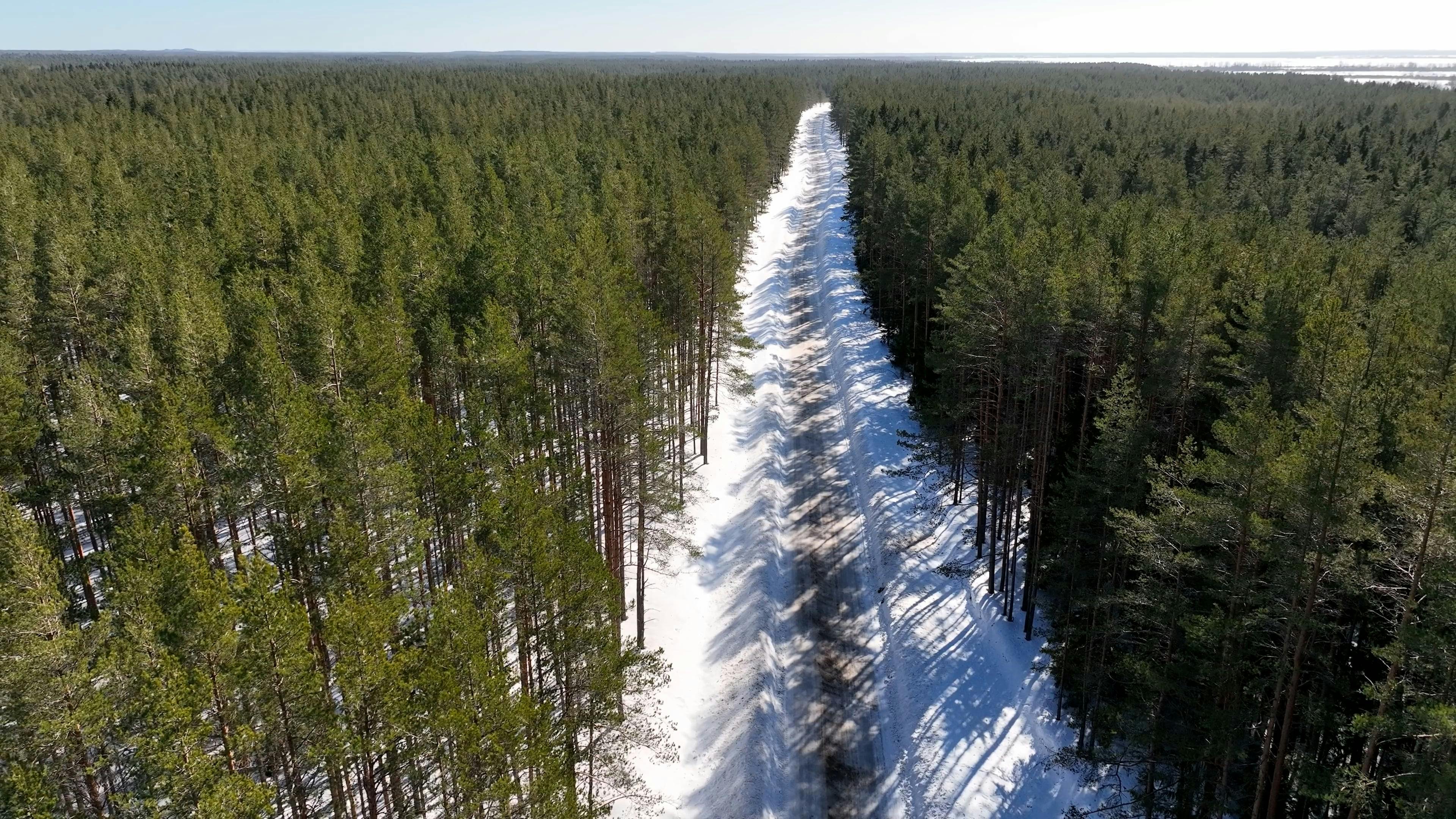 Video by Serg Alesenko