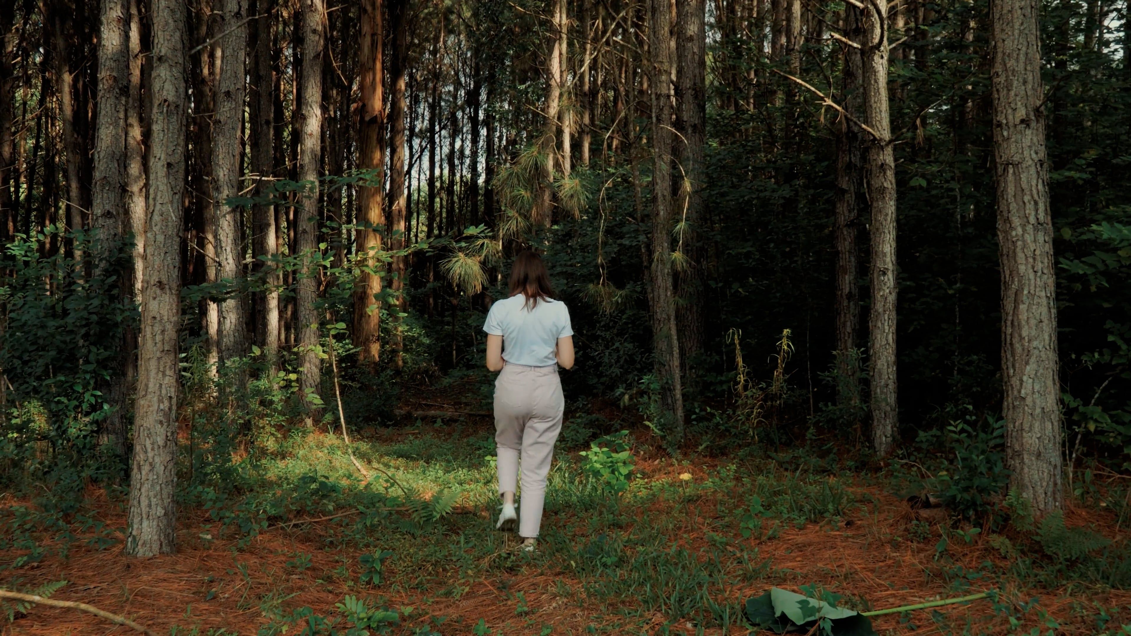Back View of Woman Walking in Forest Free Stock Video Footage, Royalty ...
