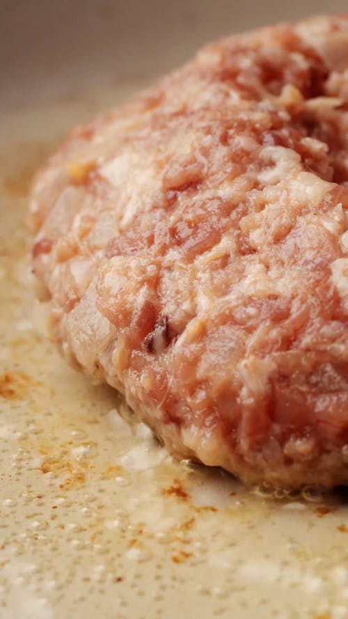 Time Lapse of Meat in Water