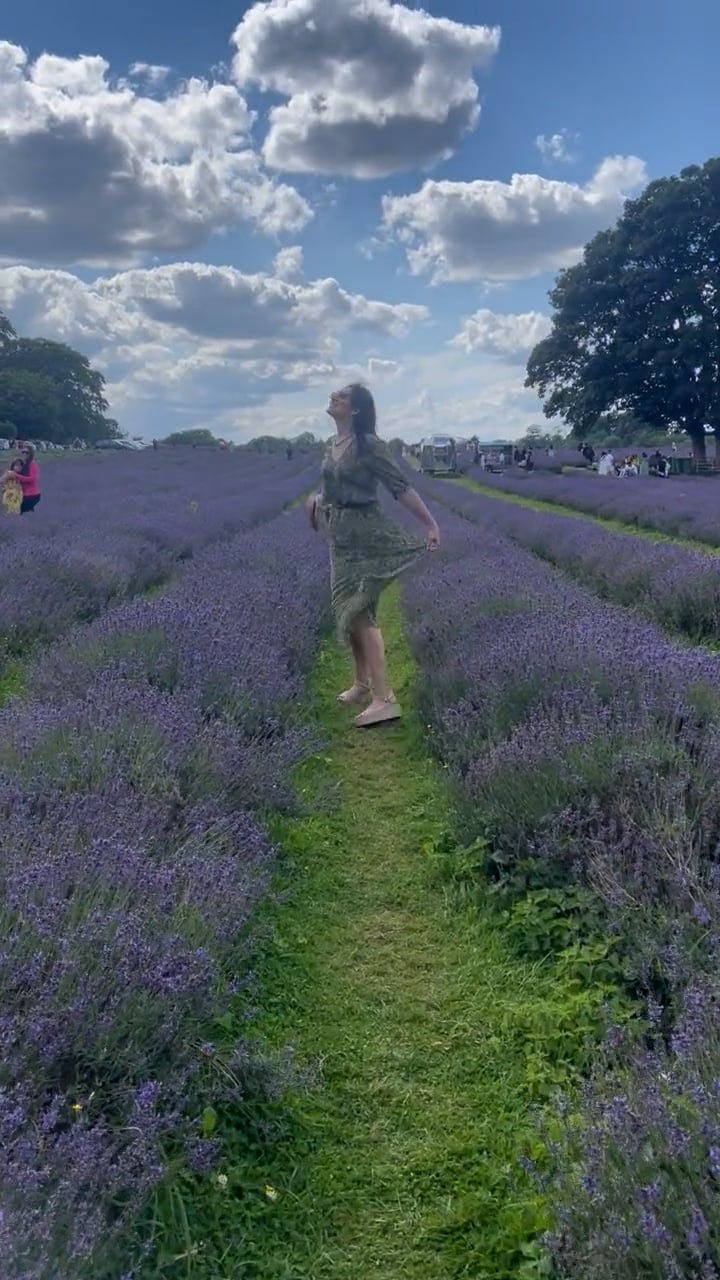 Flowers Around A Tree Videos, Download The BEST Free 4k Stock Video