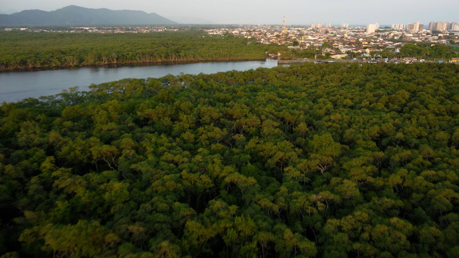 Drone video of a river in an Atlantic forest vegetation Free Stock ...